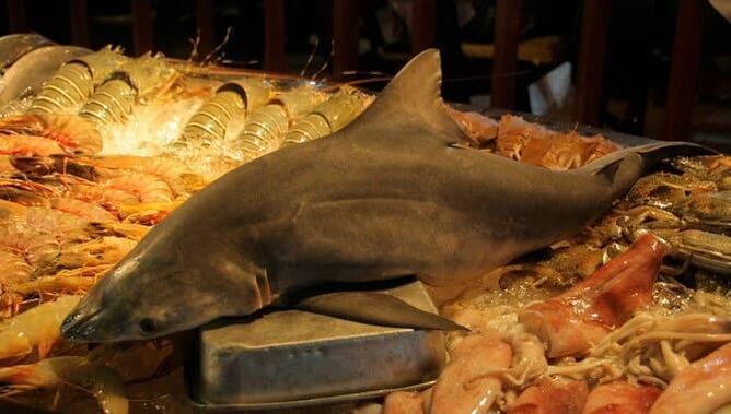 Shark meat to increase power