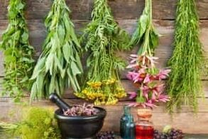 Popular remedies to increase power